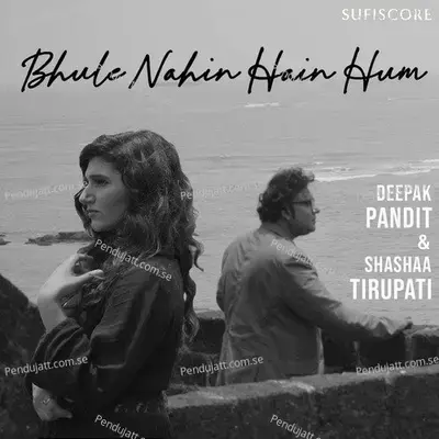 Bhule Nahin Hain Hum - Deepak Pandit album cover 