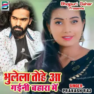 Bhulela Tohe A Gaini Bahara Me - Vaibhav Nishant cover album