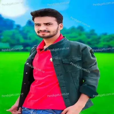 Bhulgi Pyar Premi Ko - Veer Singh Baloti album cover 