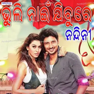 Bhuli Nai Jibure Nandini - Sonu Kolguru album cover 