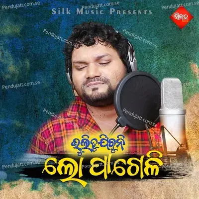 Bhuli Tu Jibuni Lo Pageli - Humane Sagar album cover 