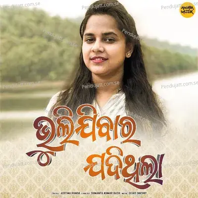 Bhulibara Jadi Thila - Male Version - Gaurav Anand album cover 