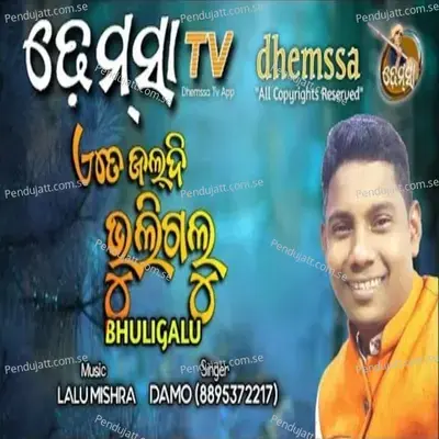 Bhuligalu Dhemssa Tv - Damo Hontal album cover 