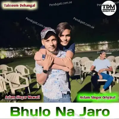 Bhulo Na Jaro - Tahseem Dehangal album cover 