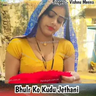 Bhulr Ko Kudu Jethani - Vishnu Meena album cover 