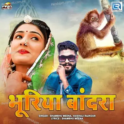 Bhuriya Bandra - Shambhu Meena album cover 