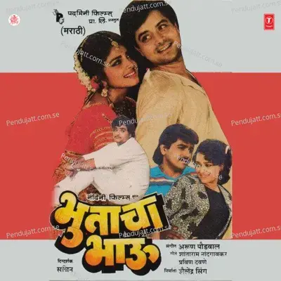 Mee Kashi Tula Re - Anuradha Paudwal album cover 