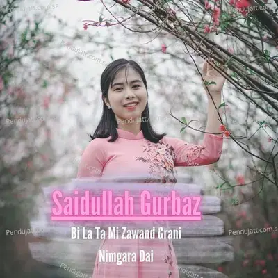 Bi La Ta Mi Zawand Grani Nimgara Dai - Saidullah Gurbaz album cover 