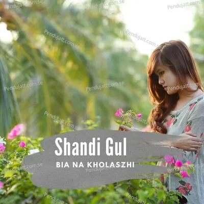 Raqiba Dira Guzara Ka - Shandi Gul album cover 