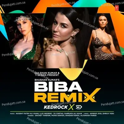 Biba Remix - Sachet Tandon album cover 