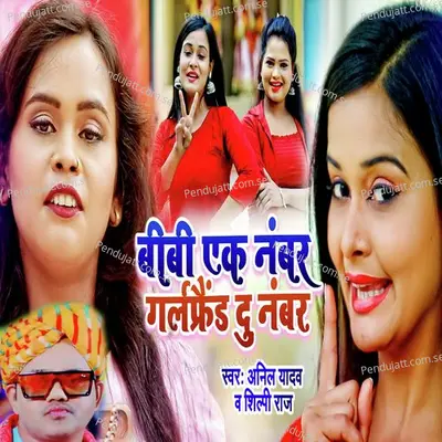 Bibi Aik Number Girlfriend Du Number - Anil Yadav album cover 