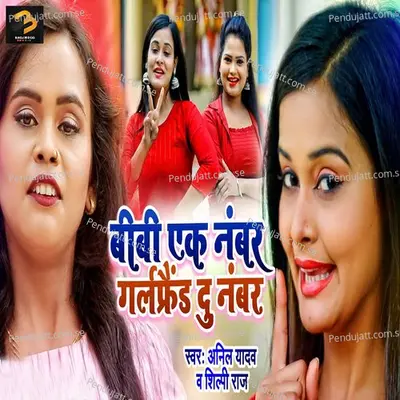 Bibi Ek Number Girlfriend Du Number - Shilpi Raj album cover 