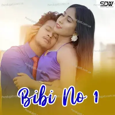 Bibi No 1 - Stephan Tudu album cover 