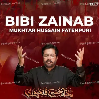 Qabr E Sarwar - Mukhtar Hussain Fatehpuri album cover 