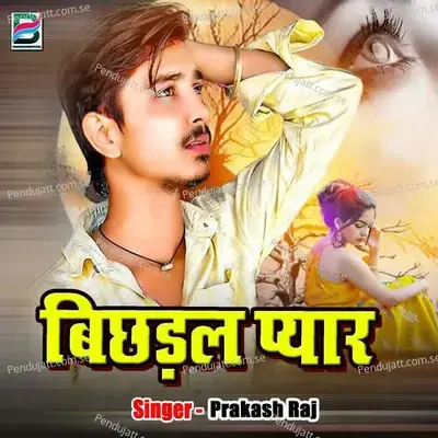 Bichhadal Pyaar - Prakash Raj album cover 