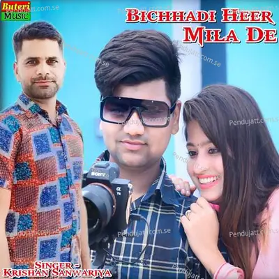 Bichhadi Heer Mila De - Krishan Sanwariya album cover 