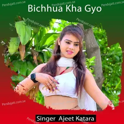 Bichhua Kha Gyo - Ajeet Katara album cover 