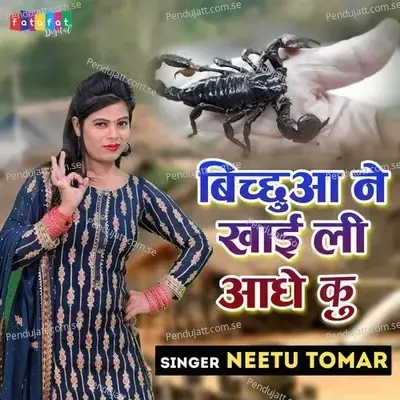Bichhua Ne Khayi Li Aadhe Ku - Neetu Tomar album cover 
