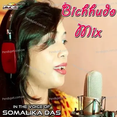 Bichhudo Mix - Somalika Das album cover 