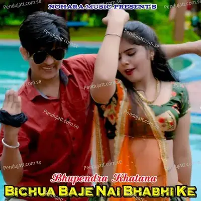 Bichua Baje Nai Bhabhi Ke - Bhupendra Khatana album cover