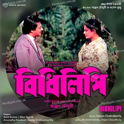 Bidhilipi (Original Motion Picture Soundtrack) - Sapan Chakraborty cover album