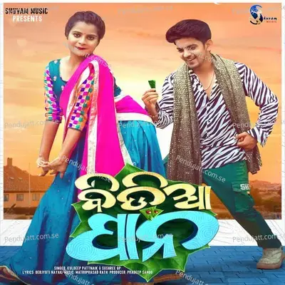 Bidia Pana - Kulldeep Pattnaik & Sushree Gp album cover 