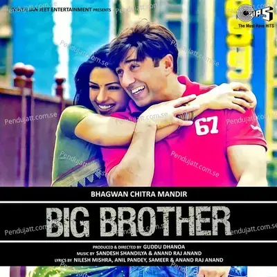 Big Brother - Anand Raaj Anand cover album