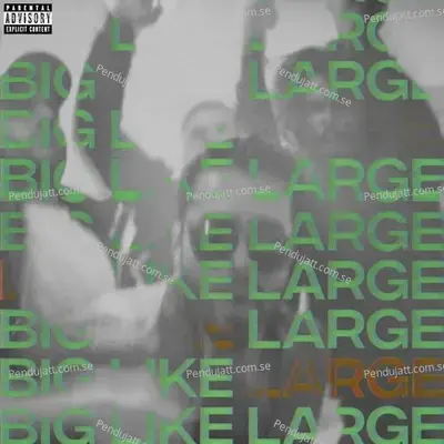 Big Like Large - Rozeo album cover 