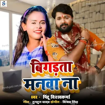 Bigad Ta Manwa Na - Pintu Vishavkarma album cover 