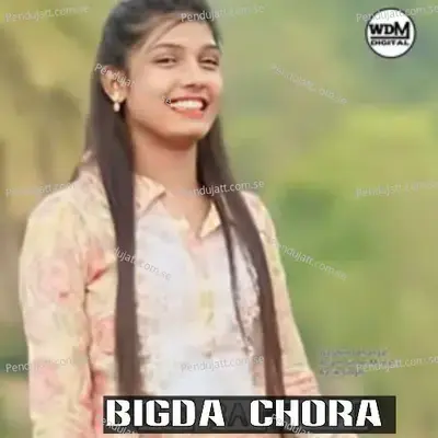 Bigda Chora - Waseem Dehangal album cover 