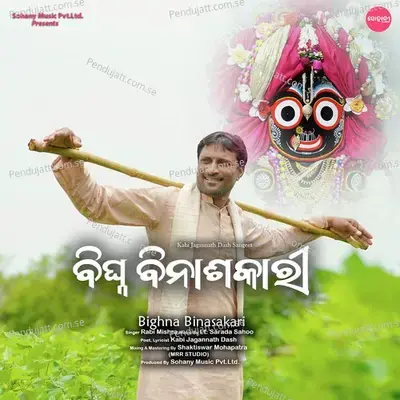 Bighna Binasakari - Rabi Mishra album cover 