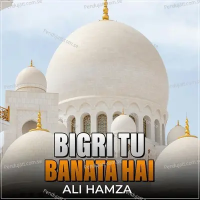 Bigri Tu Banata Hai - Ali Hamza album cover 