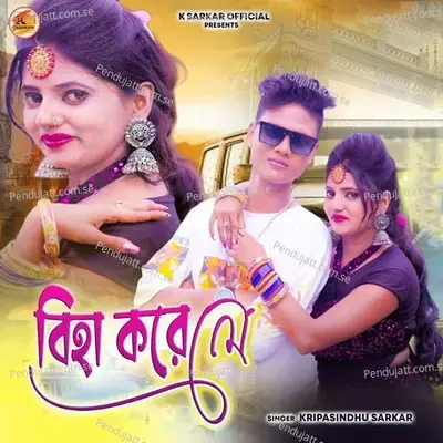 Biha Kore Le - Kripasindhu Sarkar album cover 