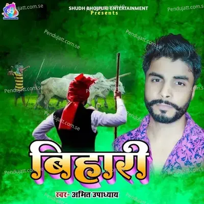 Bihari - Amit Upadhyay album cover 