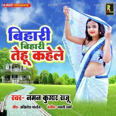 Bihari Bihari Tehu Kahe Le - Naman kumar album cover 