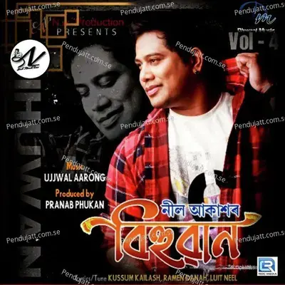 Pokhila - Neel Akash album cover 