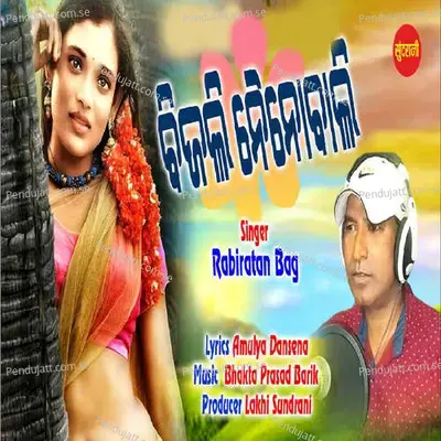 Bijli Naino Wali - Rabiratan Bag album cover 