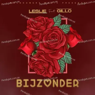 Bijzonder - Leslie album cover 