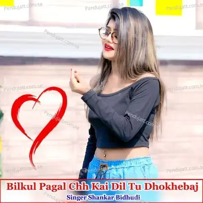Bilkul Pagal Chh Kai Dil Tu Dhokhebaj - Shankar Bidhudi