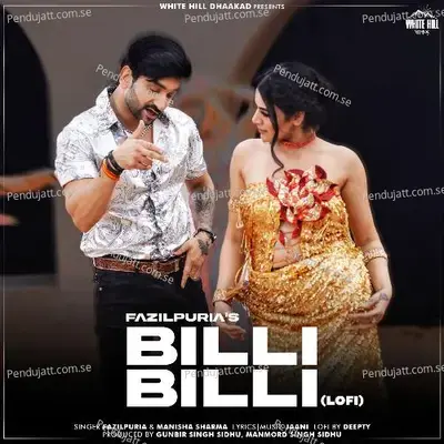 Billi Billi  Lofi  - Fazilpuria