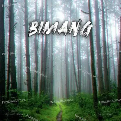 Bimang - Sourav Raag album cover 