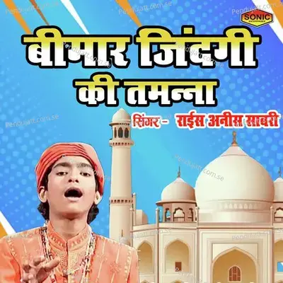 Bimar Zindgi Ki Tamanna - Rais Anis Sabri album cover 