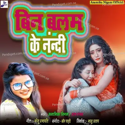 Bin Balam Ke Nandi - Anamika Nigam album cover 