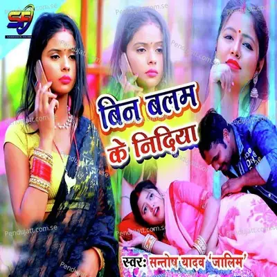 Bin Balam Ke Nidiya - Santosh Yadav album cover 