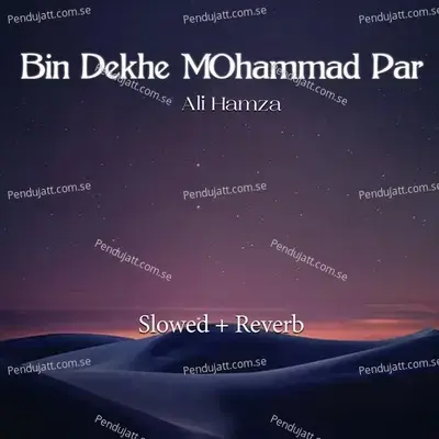 Bin Dekhe Mohammad Par Lofi - Ali Hamza album cover 