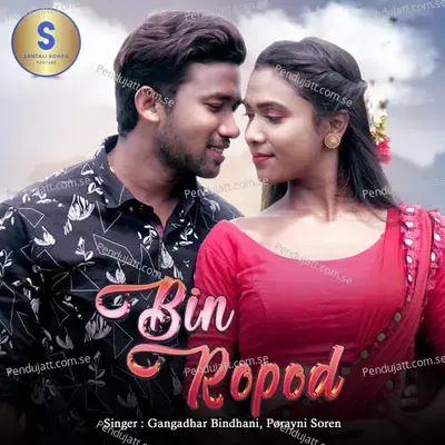 Bin Ropod - GANGADHAR BINDHANI album cover 