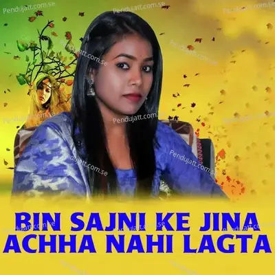 Bin Sajni Ke Jina Achha Nahi Lagta - Krish Kumar album cover 