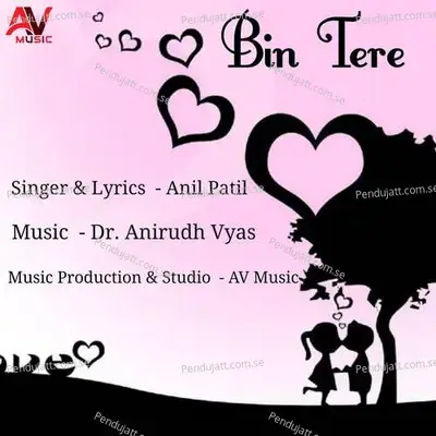 Bin Tere - Anil Patil album cover 