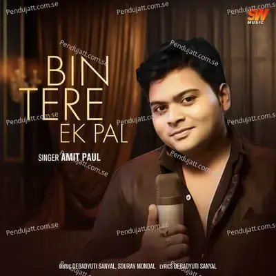 Bin Tere Ek Pal - Amit Paul album cover 