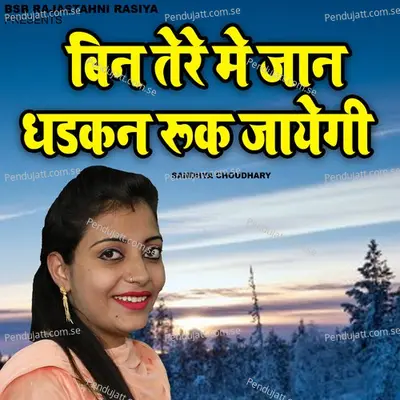 Bin Tere Me Jaan Dhadhkan Ruk Jayegi - Sandhya Choudhary album cover 